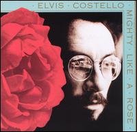 Elvis Costello - Mighty Like a Rose lyrics