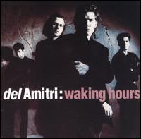 Del Amitri - Waking Hours lyrics