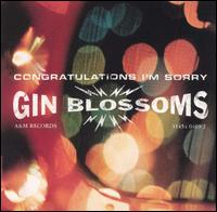 Gin Blossoms - Congratulations...I'm Sorry lyrics