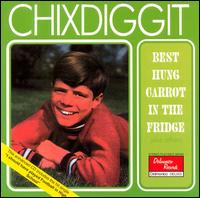 Chixdiggit! - Best Hung Carrot in the Fridge lyrics
