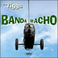 The Figgs - Banda Macho lyrics