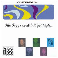 The Figgs - The Figgs Couldn't Get High lyrics