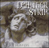 Lether Strip - Fit for Flogging lyrics