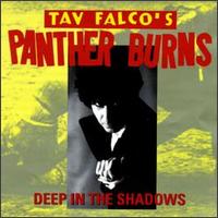 Tav Falco's Panther Burns - Deep in the Shadows lyrics