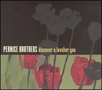 The Pernice Brothers - Discover a Lovelier You lyrics