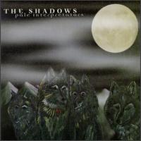 The Shadows - Pale Interpretators lyrics
