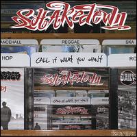 Shakedown - Call It What You Want lyrics