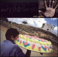Andy Stochansky - While You Slept lyrics