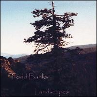 Todd Banks - Landscapes lyrics