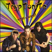Tryptonite - What You Want lyrics