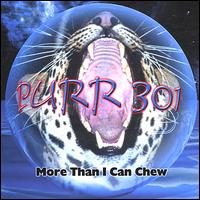The Truth - Purr 301, More Than I Can Chew lyrics