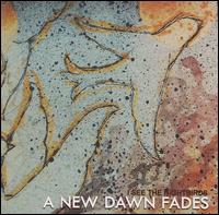 A New Dawn Fades - I See the Night Birds lyrics