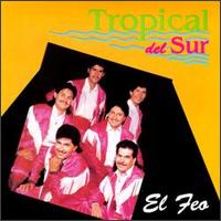 Tropical del Su - El Feo lyrics