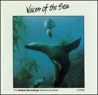 Voices of the Sea - Voices of the Sea lyrics