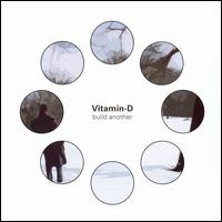 Vitamin D [Band] - Build Another lyrics