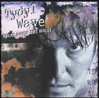 Tydyl Wave - Break Down the Walls lyrics