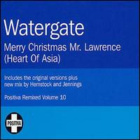 Watergate - Merry Christmas Mr. Lawrence lyrics