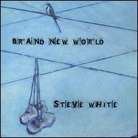 Steve White - Brand New World lyrics