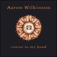 Aaron Wilkinson - Voices in My Head lyrics