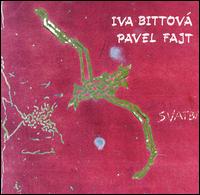 Iva Bittov - Svatba [live] lyrics