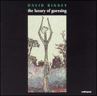 David Binney - Luxury of Guessing lyrics