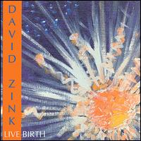 David Zink - Live Birth lyrics