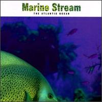 Marine Stream - Atlantic Ocean lyrics
