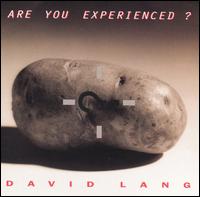 David Lang - Are You Experienced? lyrics