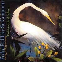 Pedro Padilla Y Su Conjunto - Puerto Rican Traditional Music (Return on Wings of Pleasure) lyrics