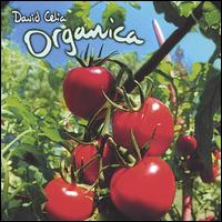 David Celia - Organica lyrics
