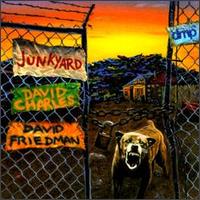 David Charles - Junkyard lyrics