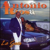 Antonio Rios - Gata lyrics