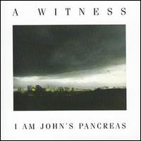 A Witness - I Am John's Pancreas lyrics