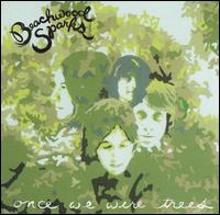 Beachwood Sparks - Once We Were Trees lyrics