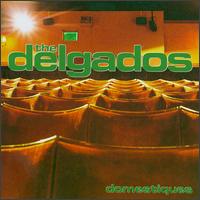 The Delgados - Domestiques lyrics