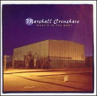 Marshall Crenshaw - What's in the Bag? lyrics