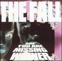 The Fall - Are You Are Missing Winner lyrics