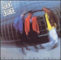 Agent Orange - This Is the Voice lyrics