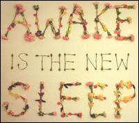 Ben Lee - Awake Is the New Sleep lyrics