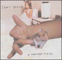 Sonic Youth - A Thousand Leaves lyrics