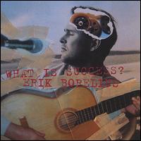 Erik Borelius - What Is Success? lyrics