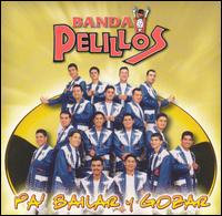 Banda Pelillos - Pa' Bailar y Gozar lyrics