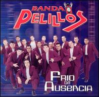 Banda Pelillos - Frio de Ausencia [2003] lyrics