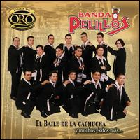 Banda Pelillos - Linea de Oro: El Biale de Cachuca Muchos Exitos Ms lyrics