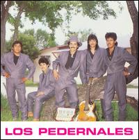 Pedernales - Basura Perdida lyrics