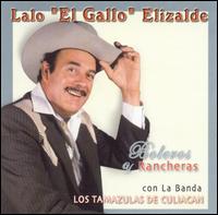 Lalo Elizalde - Boleros y Rancheras lyrics