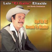 Lalo Elizalde - Aqui en Mi Corazon Tu Mandas lyrics