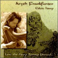 Aryeh Frankfurter - Lest the Harp Strings Unravel lyrics