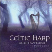 Aryeh Frankfurter - Celtic Harp: The Morning Dew lyrics