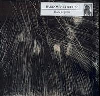 Bardoseneticcube - Rain in June lyrics